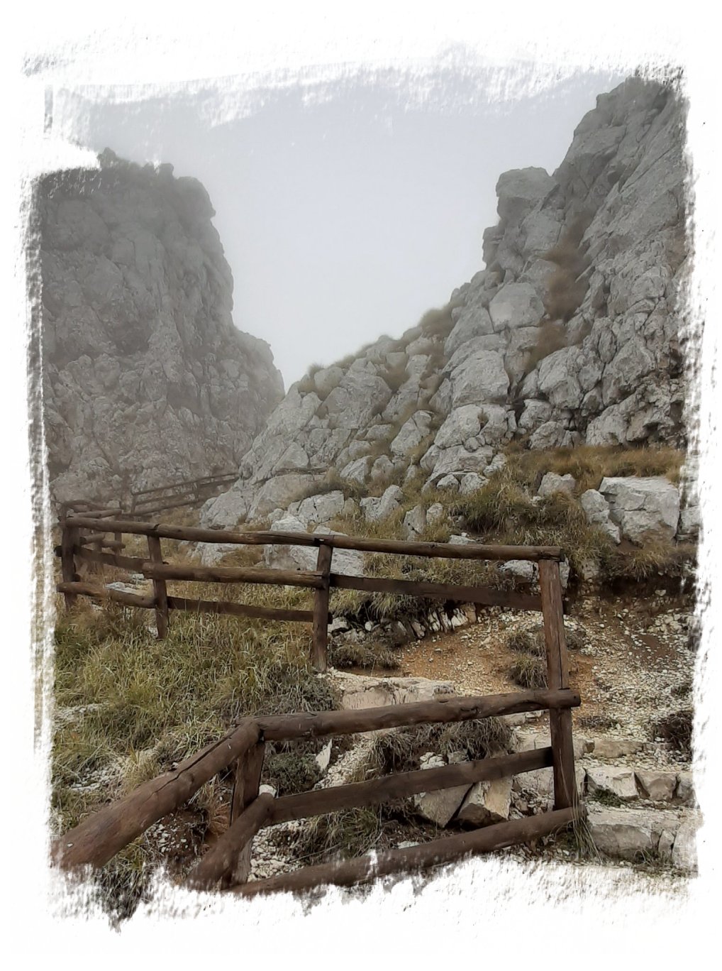 nidificate cervati Monte Cervati