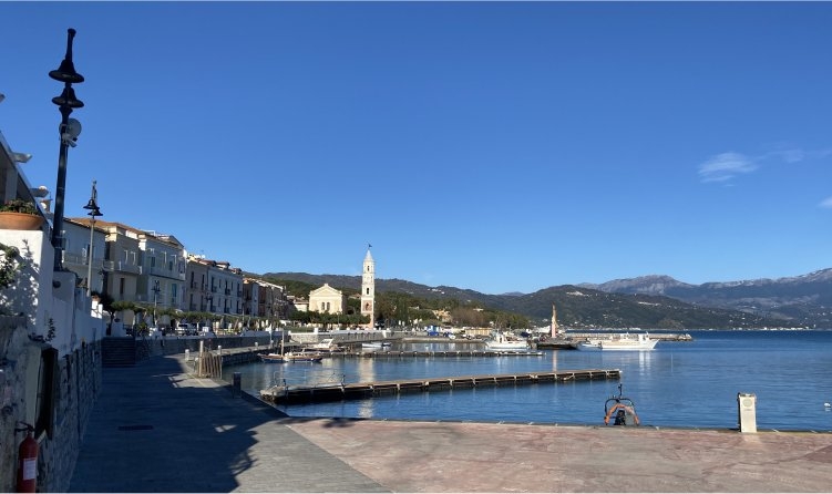 scario-4
