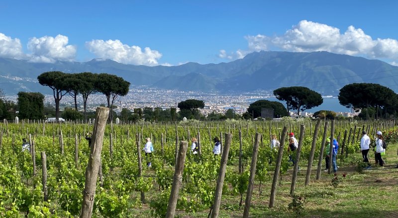 vesuvio