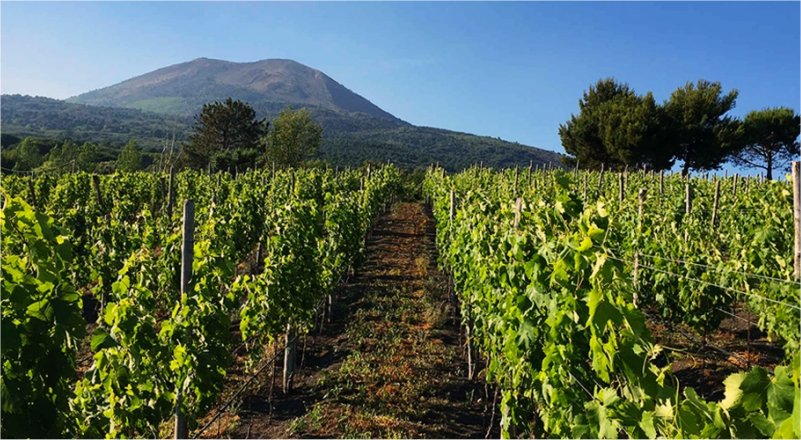 vesuvio