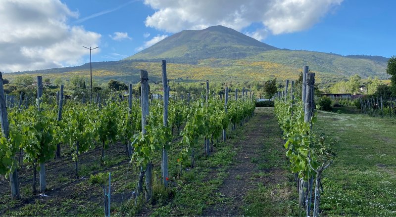 vesuvio