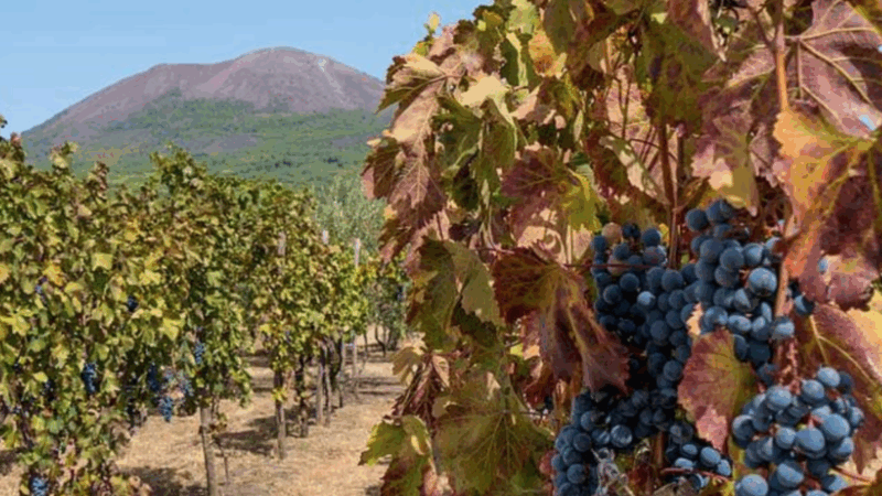 vesuvio