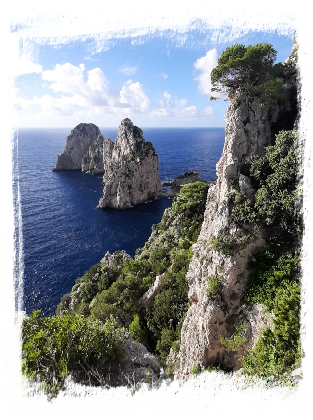 nidificate capri Penisola Sorrentina