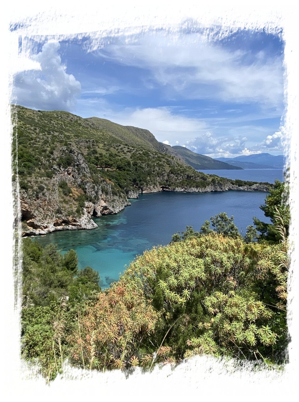 nidificate infreschijpeg costa degli infreschi